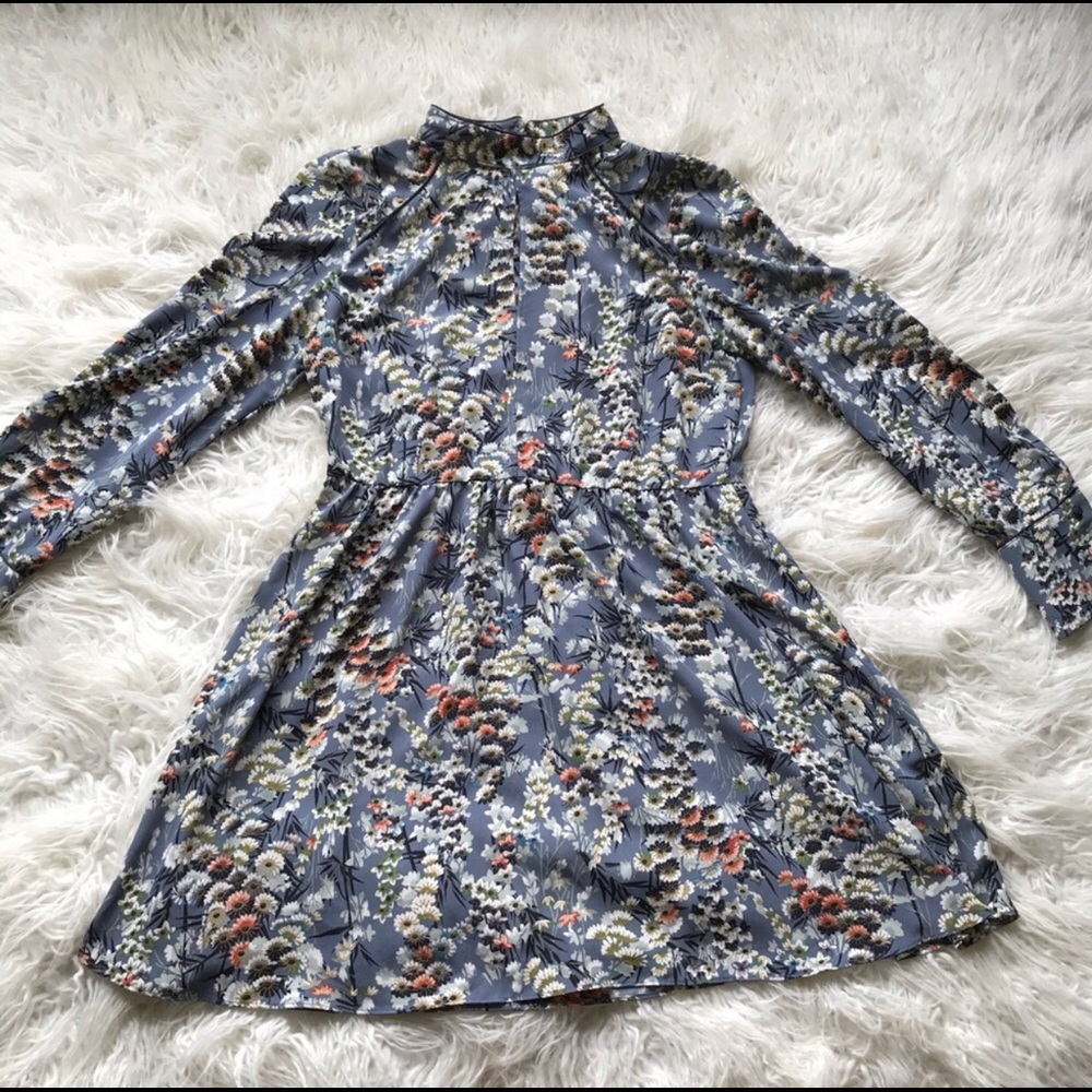 Zara basic z1975 denim floral dress long sleeve (NWOT)